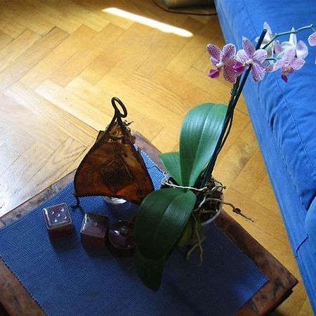 Maria-Rosa Guesthouse Rome Buitenkant foto